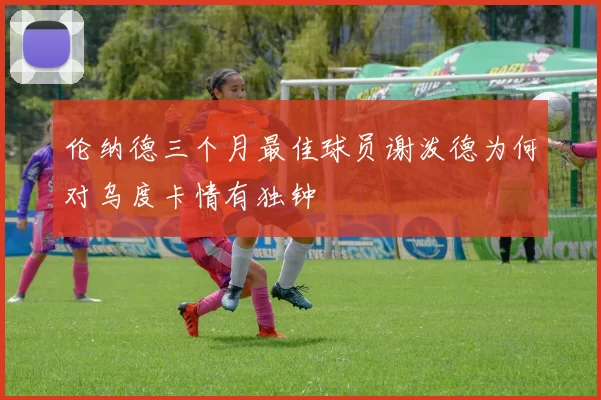 伦纳德三个月最佳球员谢泼德为何对乌度卡情有独钟