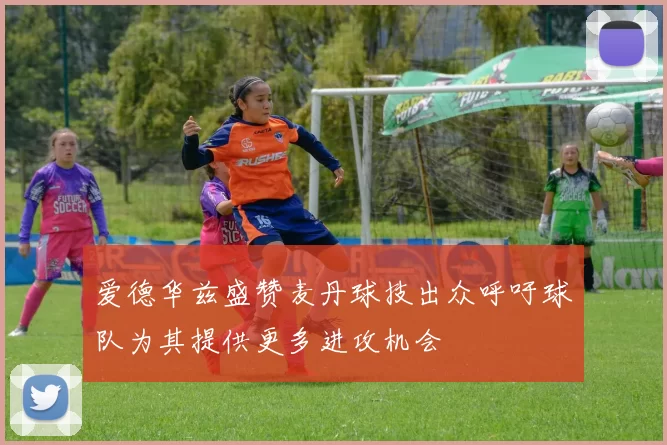爱德华兹盛赞麦丹球技出众呼吁球队为其提供更多进攻机会